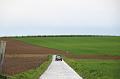 MG Bloesemrit op 24-4-2016 org. Jos&Marie-lou  (240)